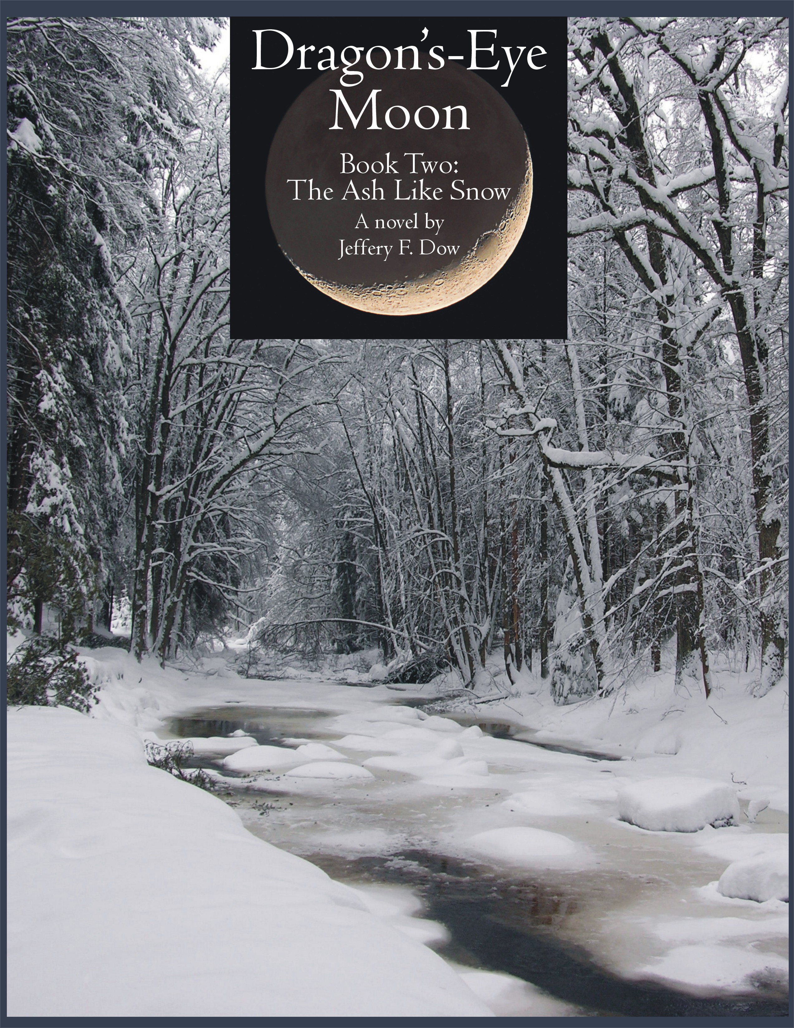 Cover of a book showing a nearly frozen stream surrounded by trees covered in snow