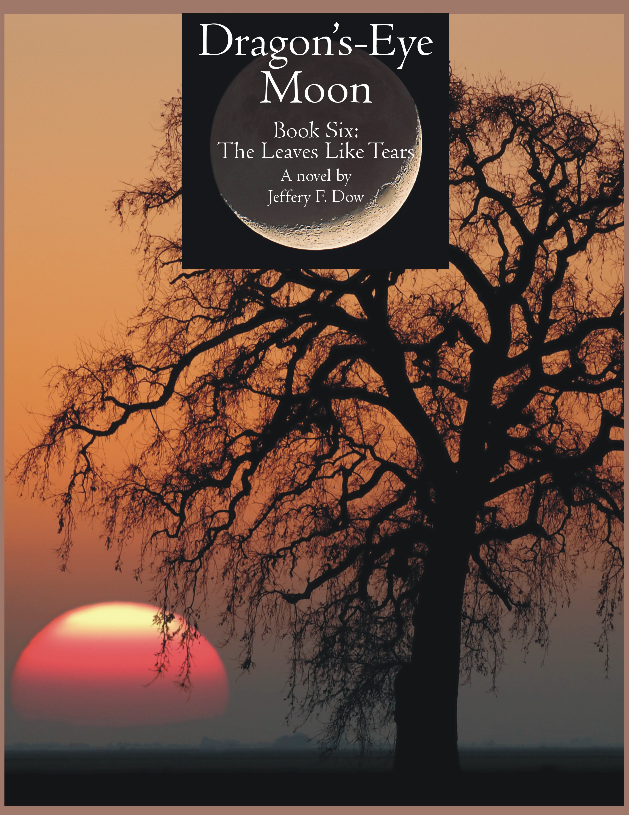 Cover of a book showing the silhouette of a leafless tree and a large red sun setting