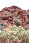Photo of cactus in the foregound and red rock formation in the background