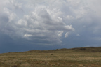 Photo with grasses in the foreground, an undulating horizon and dark gray clouds in the sky