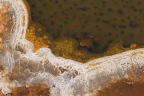 Photo of a close-up of the edge of a hot spring showing the white and gold bacterial mat