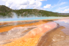 Photo of Grand Prismatic Spring showing golds, pinks, yellows, light and dark brown bacterial growths