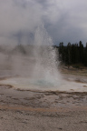 Photo of a small geyser erupting